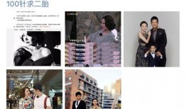 明星黑料ppt,PPT背后的真相与反思